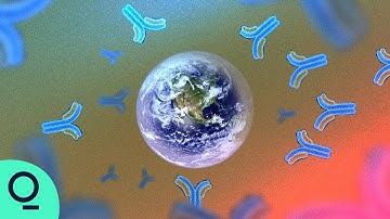 Is a Universal Flu Shot Possible?