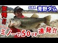[驚愕!!]レベルミノーでデカバス祭り!! [金森隆志]