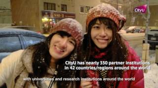 City university of hong kong -