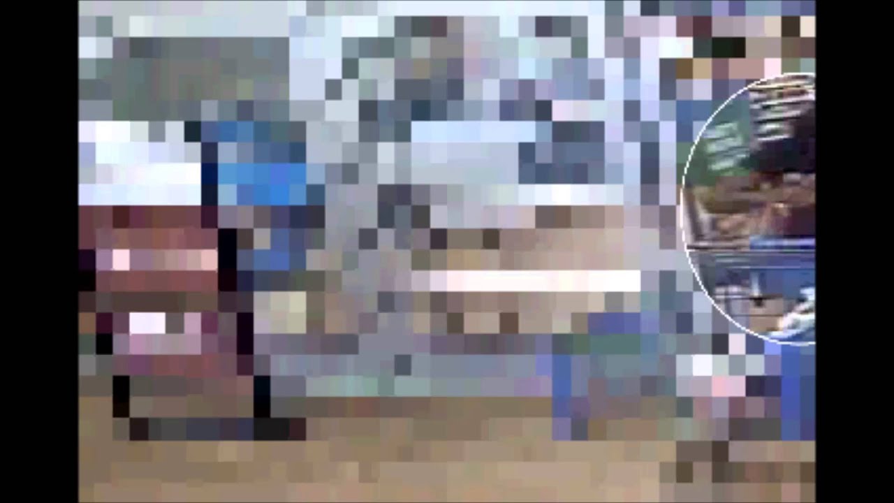 16 0200203 Theft Walmart bryan domani agama