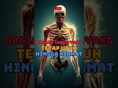 Inilah Bagian Tubuh