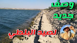 وصف جديد أقوى مكان لصيد السمك البلطي الكبير?? في ملاحات برج العرب fishing