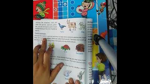 Class 4  Sub   EVS  Ch   7 the world of animals B