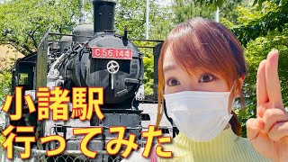 鉄分補給＆女子旅にも大満足な鉄道旅！しなの鉄道とJR東日本の小諸駅に行ってみた