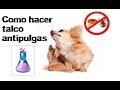 Mascotas: como hacer talco anti pulgas comercial- productos para negocio - PHF