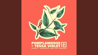 Crush + Someone Like You Mashup - Pomplamoose feat. Tessa Violet