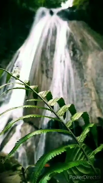 Story Wa petualangan terbaru 2020