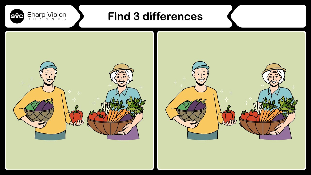 Find 3 Differences | Spot 3 Differences | Puzzle Game No23 - YouTube