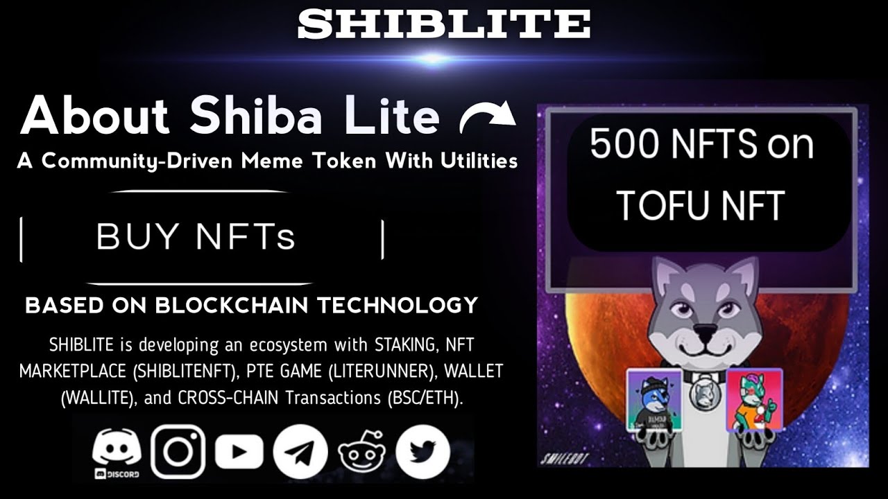 SHIBLITE Best New Token Project Review | How & Where To Buy | Live NFTs Details 🤑💰