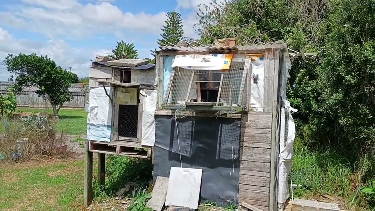 NEW UP DATE LOTS OF FEATHERS.