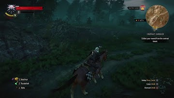 The Witcher 3: Wild Hunt – Funny Roach Glitch