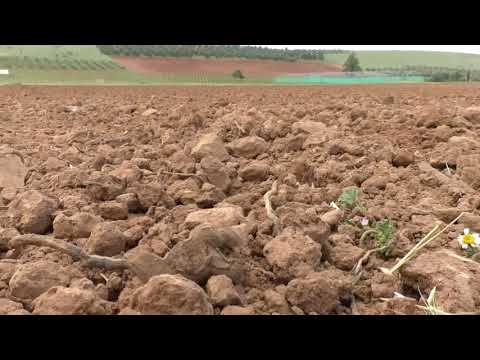 Zonas Afectadas Daños Conejos Noticia Informativos 01/03/2021