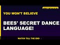 Bees' Secret Dance Language!