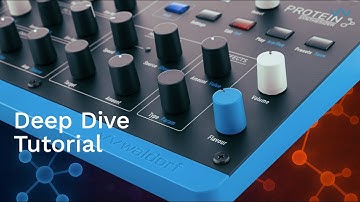 Protein - Deep Dive - Tutorial with CTO Rolf Wöhrmann