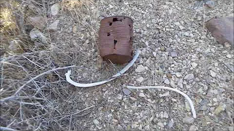 Susan Powell simpson springs campground and burn s...