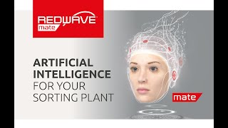 Get ready for your Artificial Intelligent Friend within your sorting plant with REDWAVE mate! Wealth