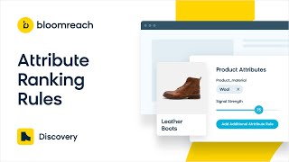 Bloomreach Discovery: Attribute-Based Ranking