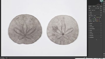 Photoshop Tutorial: Open RAW Images as Smart Objects for Non-Destructive Editing