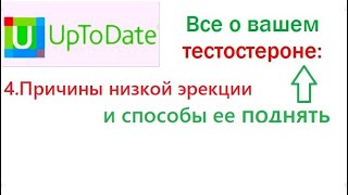 Все причины слабой эрекции, все способы ее улучшить и роль тестостерона в этом