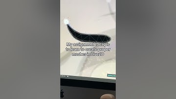 2d rigging homework on learning live2d meshes using my oc #animationart #digitalart