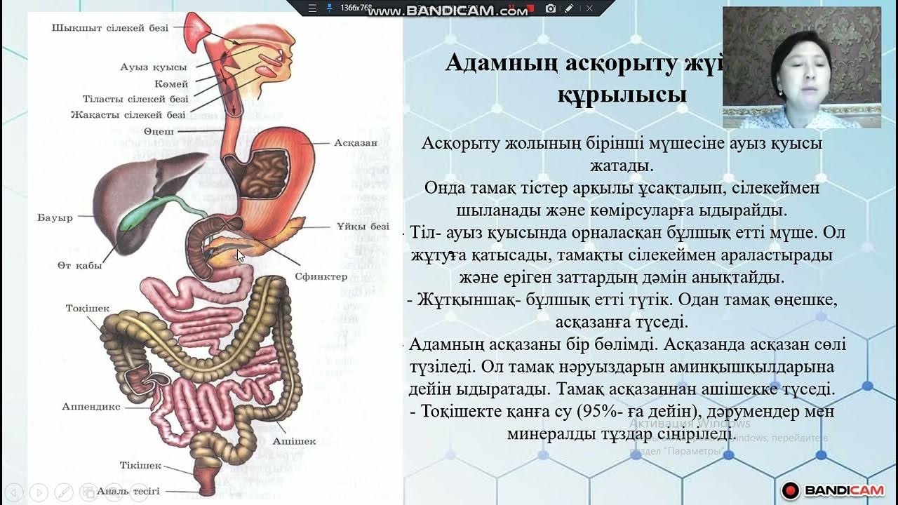 Орыс әйелдері қатысатын сыртқы порно Жалаңаш әйелдер май роликтері