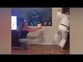 Kung Fu Fighting Meme Compilation 