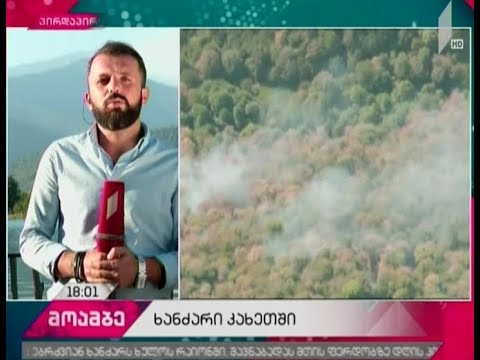 ხანძარი სოფელ ართანასთან და ხახაბოს ტყეში - რა ვითარებაა სტიქიის ზონებში