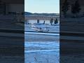 Landing ATR 42-500 DAT DX543 SRP-OSL Oslo Airpot 19. Nov. #aviation #planespotting