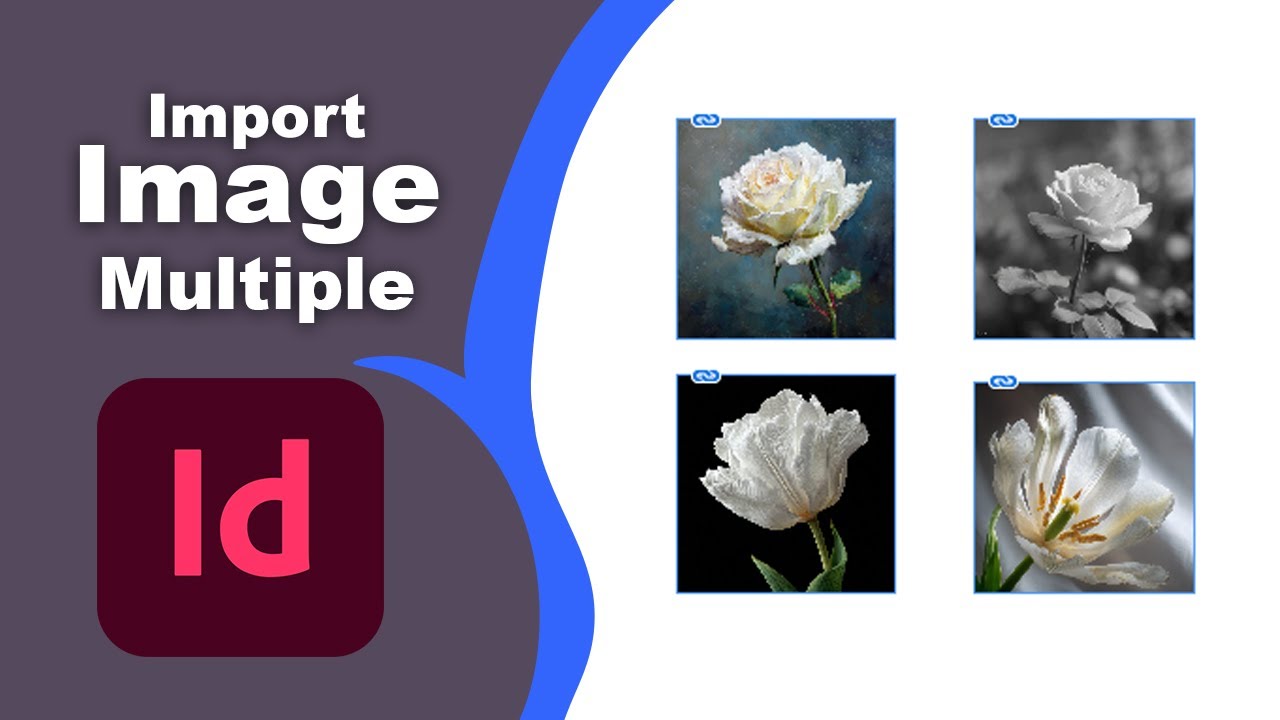 Multi Photo Indesign How to import multiple image in Adobe InDesign - YouTube