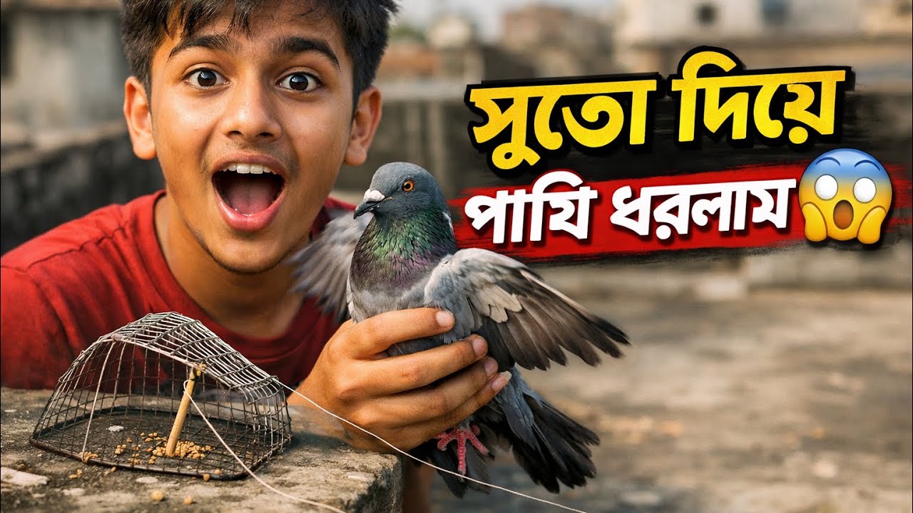 সুতো দিয়ে pigeon ধরলাম 😱🤣॥