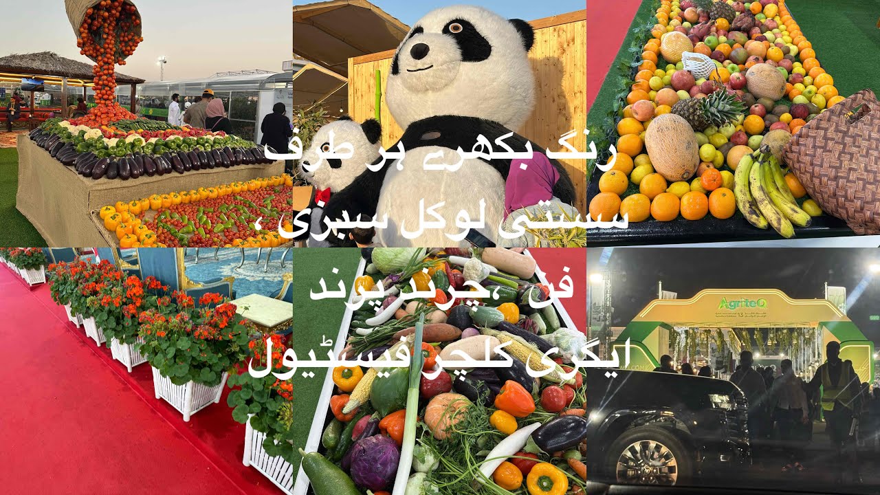 Qatar Agriculture festival,fresh vegetables fruits and beautiful colorful flowers/BB ki duniya Vlog 