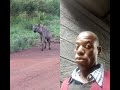 #animals #wildlife