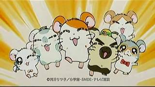 Tottoko Hamutaro Hamtaro Dechu Tv And Dvd Dos And Donts