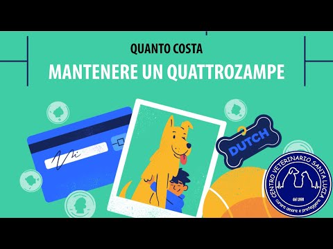 Video: 5 razze più costose per acquistare l'assicurazione dell'animale domestico per