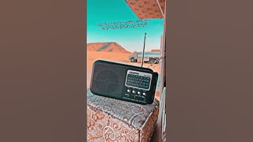 سورة [الصف اية 14] - الجزء : ( 28 )  - الصفحة: ( 552 )