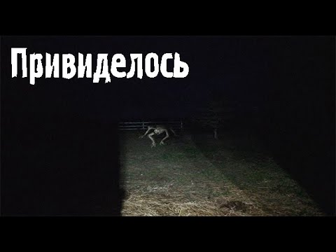 Видео: Потустороннее. Страшные. Мистические. Творческие истории. Хоррор