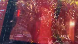 İstanbulda İlayda Zorlu Için Yapılan Eyleme Polis Müdahale Etti. 40Tan Fazla Kişi Gözaltına Alındı