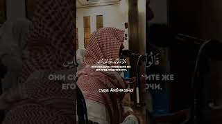 Чтец Мухаммад аль люхайдан #quran #reels