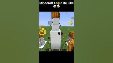 Minecraft Logic That Makes No Sense! 💀