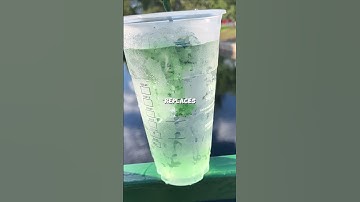 3 Surprising Ways Mullein Helps Your Lungs!