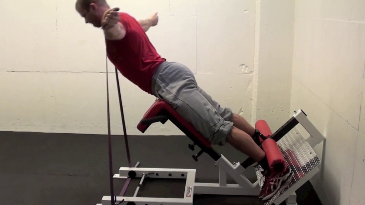 Back Raise With 2 Bands training force