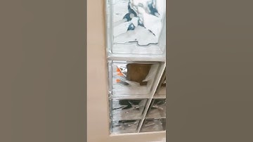 day 1 of making ugliest transitions#short#transition