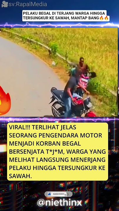 BEGAL GAGAL BERAKSI AKIBAT DI TENDANG WARGA KE SAWAH #shortsviral #shortvideo #begalapes #fyp