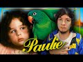 La triste y Lacrimógena Peli Del Loro Paulie | CoffeTV