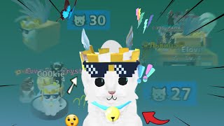играем в кошка симулятор на взломанном сервере🫠 screenshot 1