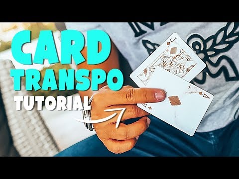 EASY Card Transpo