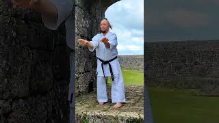 Kanshu kata (excerpt) in Kanagusuku Castle in Okinawa / Uechi ryu karate Hozonkai