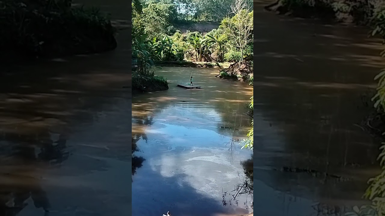 The pond looks beautiful, but it's even more beautiful in real life 