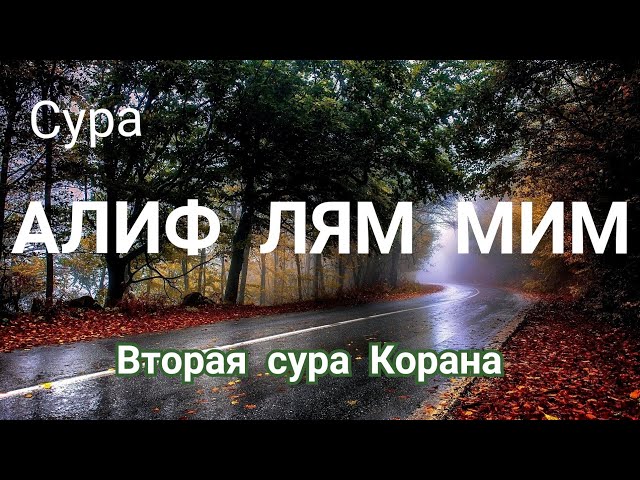 Алиф лям мим #Коран