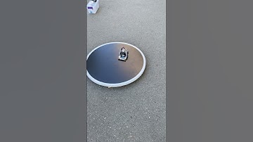 Thin Man the mini sumo